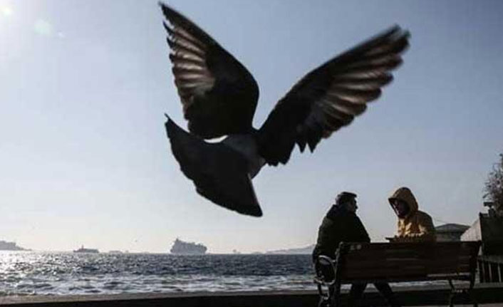 Meteoroloji açıkladı, hava sıcaklığı artıyor!