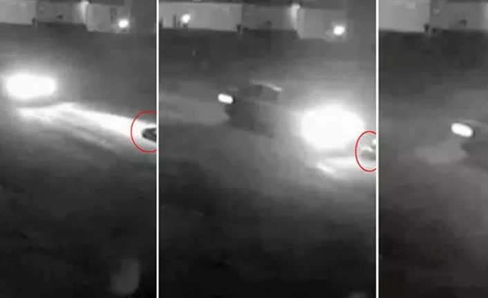 Yolda uyuyan köpeği ezdi