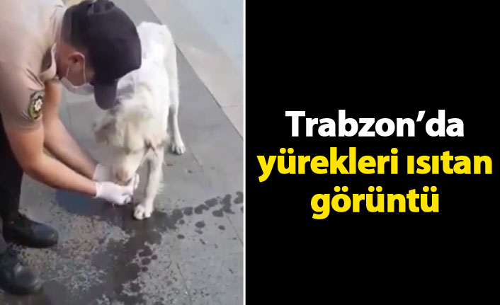 Trabzon'da yürekleri ısıtan görüntü