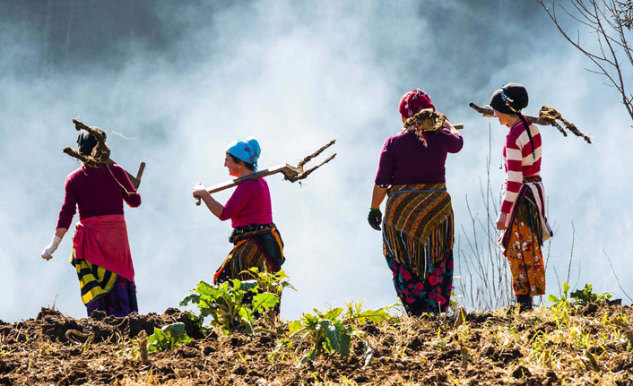 Bahar geldi, Karadenizli kadınlar tarlalara çıktı