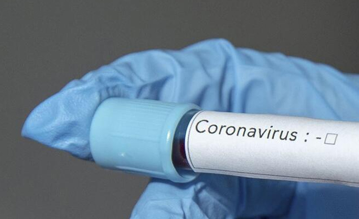 Bakan Koca açıkladı: "Virüsü başarıyla izole ettik"