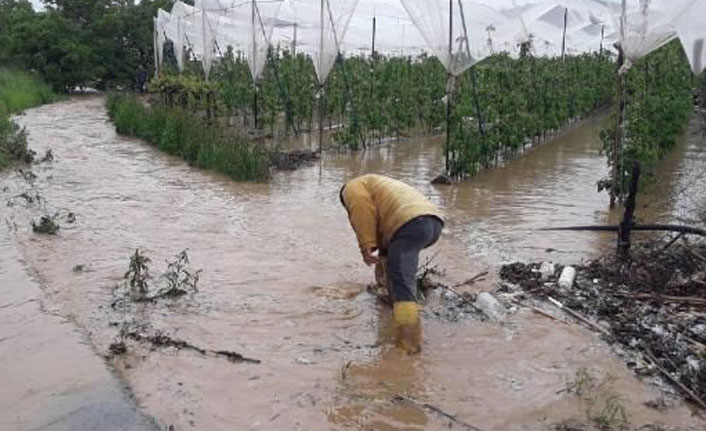 'Dolu' seralara zarar verdi