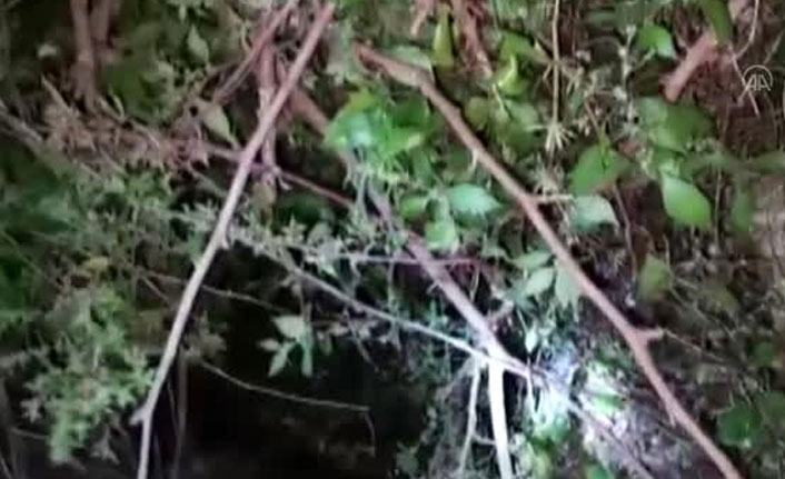 Çukura düşen köpek yavrularını vatandaşlar kurtardı