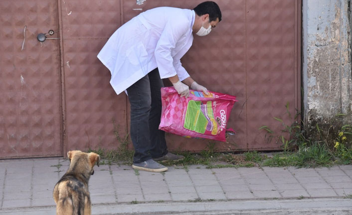 Manisa'da sokak hayvanları unutulmadı