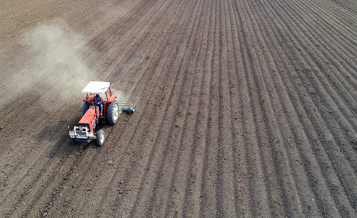 Bayburt’ta 120 Dekarlık Alanda Kışlık Kuru Soğan Ekimi Yapıldı
