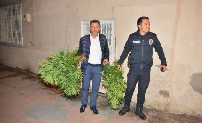 Cinayet ihbarı yapılan evden Hint keneviri çıktı