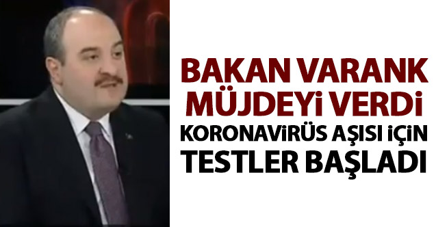 Bakan Varank'dan koronavirüs aşısı müjdesi