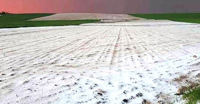 Mardin'de dolu, tarım arazilerini vurdu!