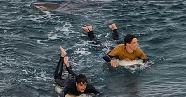 Şoke eden olay! Köpek balığı ile dövüştü