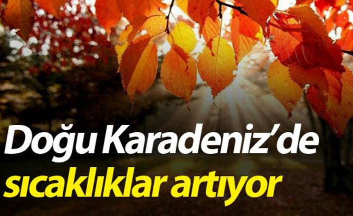 Doğu Karadeniz'de sıcaklıklar artıyor