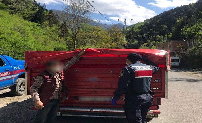 Trabzon’da kaçak hayvanlar ile yakalandı!