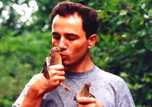 Bıldırcınların zor göçü