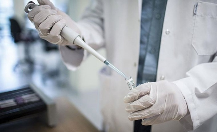 Bakan Açıkladı! Aşı çalışmalarında hayvan deneyleri başlıyor