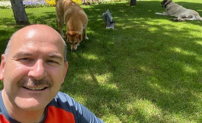 Bakan Soylu'dan yürek ısıtan fotoğraflar