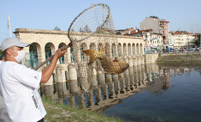 Sulama kanalından balık kurtarma operasyonu