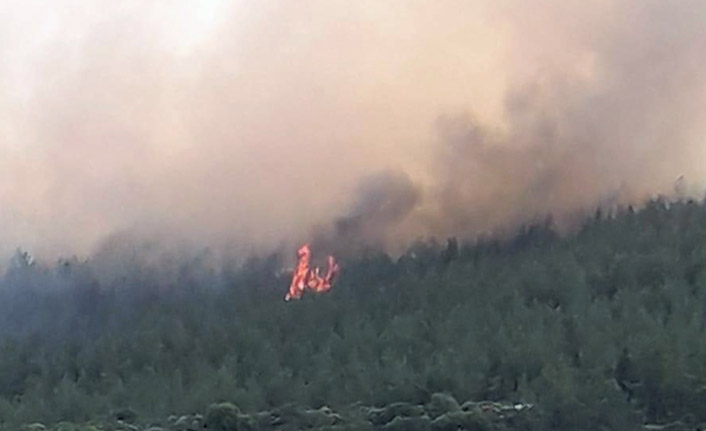 Muğla'da orman yangını