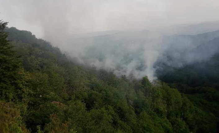 Orman yangını 4 saatte söndürüldü