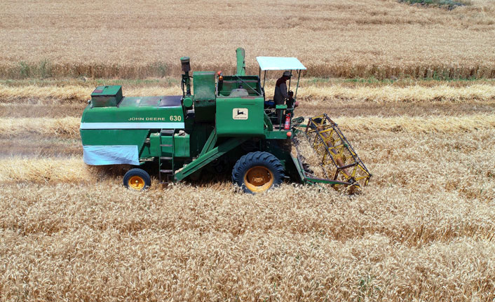 Buğday hasadı başladı, çiftçinin yüzü gülüyor