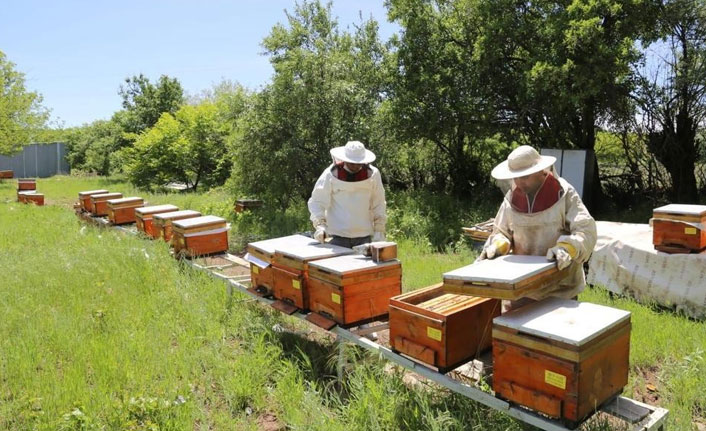 Vefa Grubu arı bakımı yaptı
