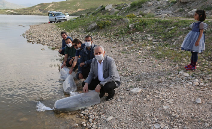 Göl ve göletlere 180 bin balık yavrusu bırakıldı