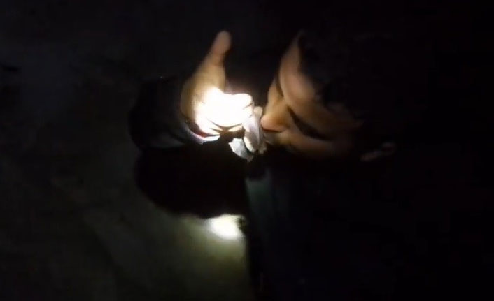 Herkesin korktuğu yarasaları o öpüyor!