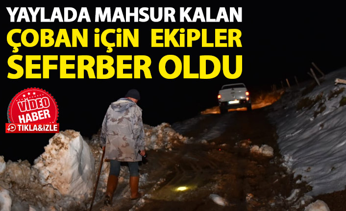 Trabzon'da yaylada mahsur kalan çoban için seferber oldular