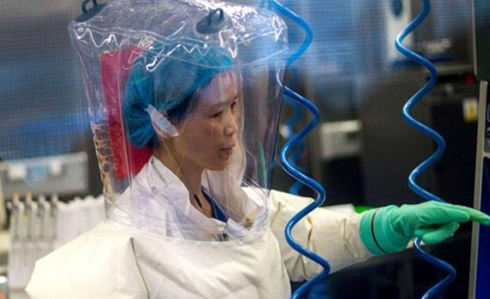 'Yarasa kadın'dan dünyaya korkutan uyarı! "Buz dağının yalnızca görünen yüzü"