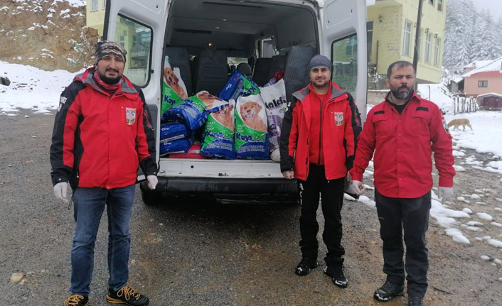 AKUT sokak hayvanlarına yarım ton mama ve su dağıttı