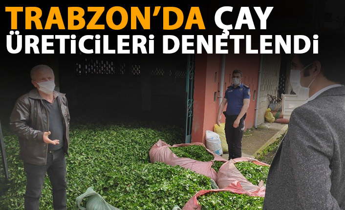 Trabzon'da çay üreticileri denetlendi