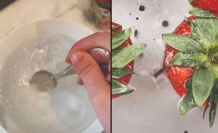 Çilekseverleri üzen kadın gerçeği açıkladı: Çilekten böcek çıktı mı?