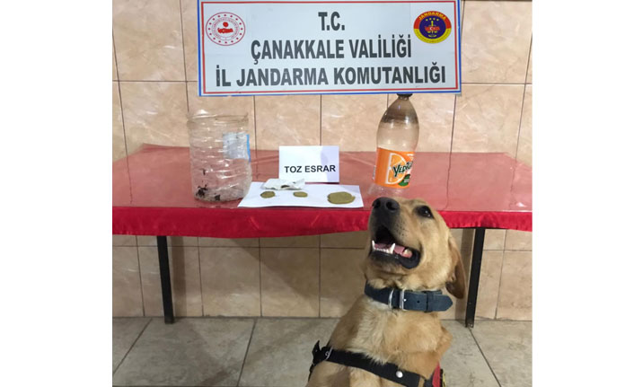 Ezine’de uyuşturucu operasyonu