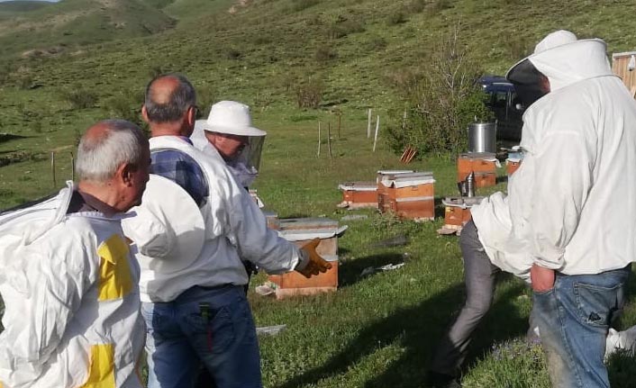 Karadenizli gezgin arıcılar orayı tercih ediyor