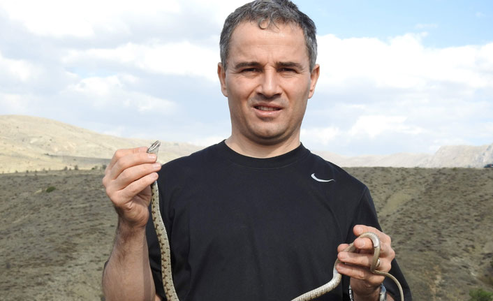 Prof. Dr. Başkaya: "İnsanlarla yılanların karşılaşma ihtimali arttı"