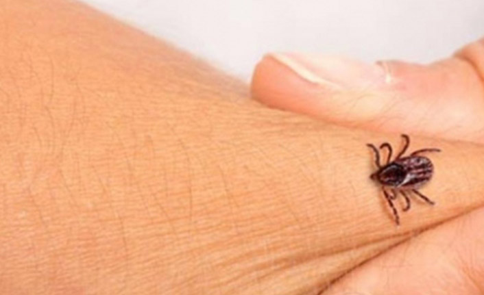 Korona bitmeden yeniden ortaya çıktı! İki ilde can aldı