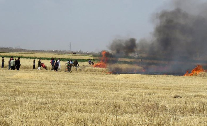 Suriye'de Esed rejimi halkın ekinlerini yakıyor