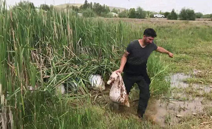 2 ton kaçak avlanan inci kefali ele geçirdi