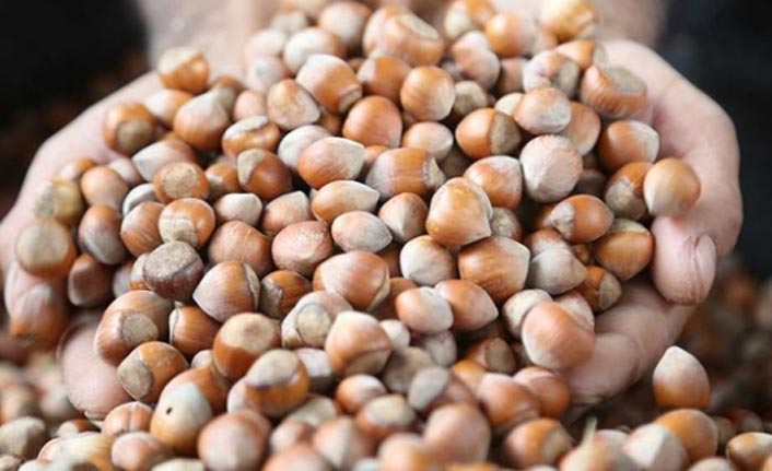 Türkiye fındık ihracatında sezon tamamlanmadan rekor kırdı