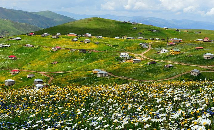 Barma Yaylası için 3 Milyon TL'lik proje