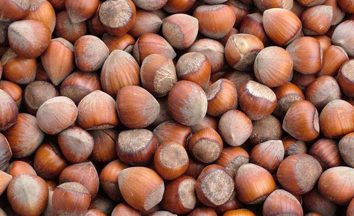 Fındık ihracatına Trabzon damgası