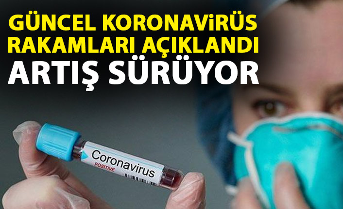 Bakan Koca: “Artışlar belli bölgelerde yoğunlaşıyor, güç bizde” - 15 Haziran 2020