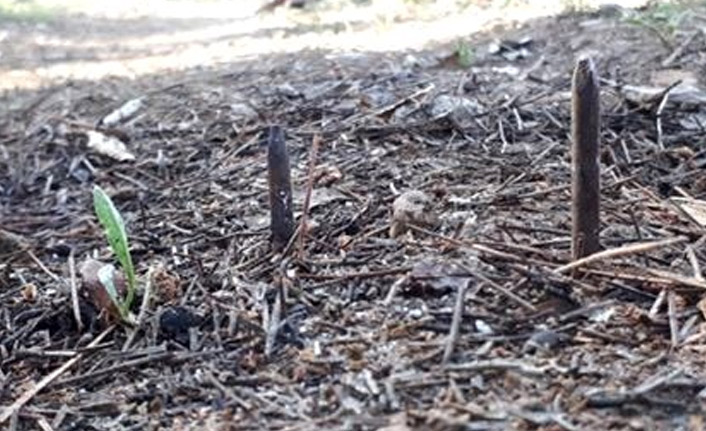 "Ölüm tuzağı"na valilik el koydu