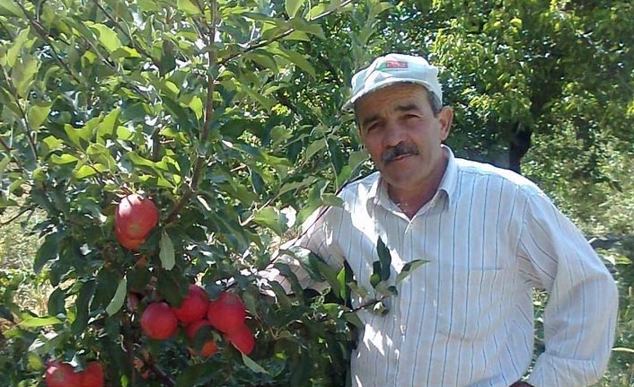 Muhtar ağaçtan düşerek öldü