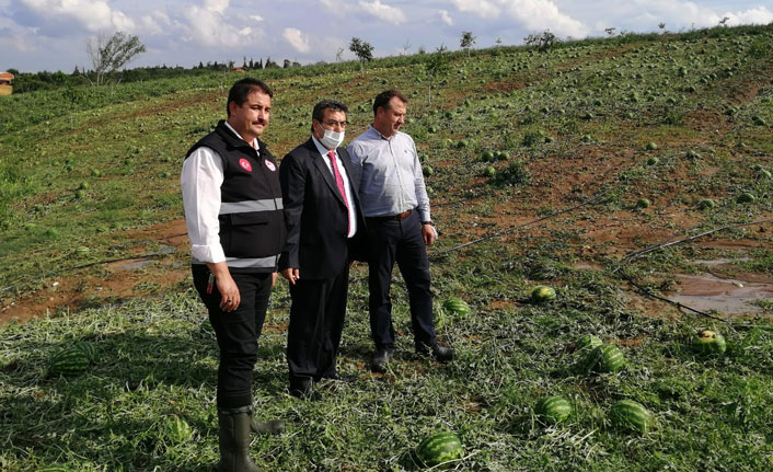 Tarım arazileri şiddetli dolu nedeniyle zarar gördü