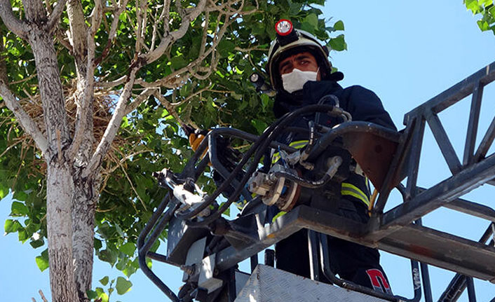 Ayağına ip dolanan kargayı itfaiye kurtardı