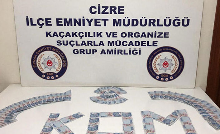 Şırnak'ta 'kaçakçılık' operasyonu