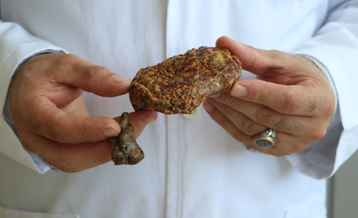 KTÜ'lü uzmandan önemli uyarı! "Anadolu propolisinin kıymetini bilelim"