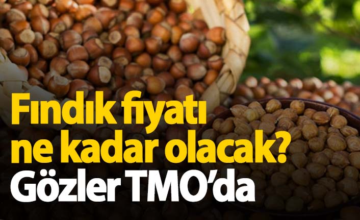 Fındık fiyatları ne kadar olacak? Üreticinin gözü TMO'da