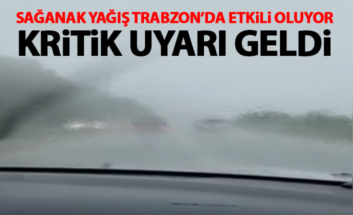 Doğu Karadeniz'de yağmur etkili oluyor! Kritik uyarı geldi