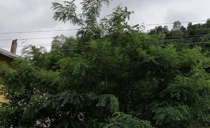 "Müdahale etmek için birine bir şey olmasını mı bekliyorsunuz?"