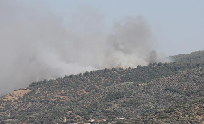 Dağlar alevlere teslim oldu